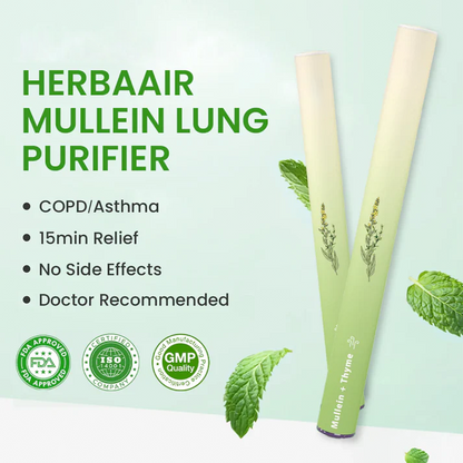 🔥Mullein Aroma Air Scentor – Relief for Cough, Congestion & Breathing Comfort2.0💝