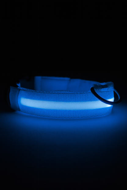 Pet luminous collar - rechargeable LED collar - Teddy/golden retriever/large, medium and small dog pet collar
