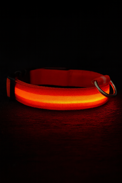 Pet luminous collar - rechargeable LED collar - Teddy/golden retriever/large, medium and small dog pet collar