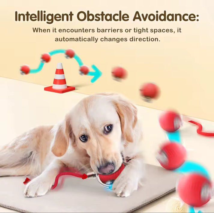 🔥Smart Chase Interactive Pet Ball-Pet Activity Toys&Pet Training Toys🐾